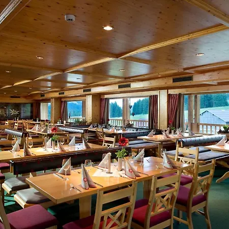 Almhotel Hochhaederich Отель 4*