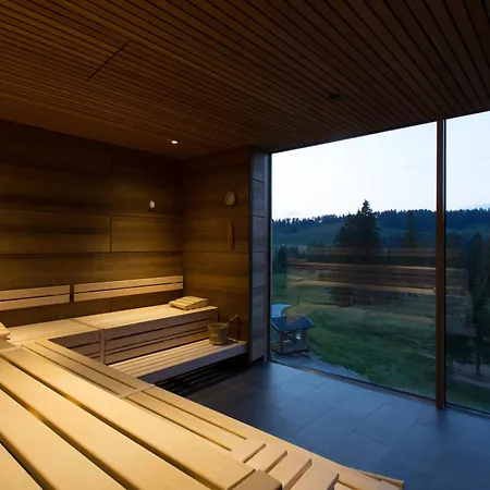 Almhotel Hochhaederich Отель Riefensberg