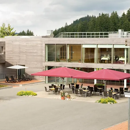 Almhotel Hochhaederich 4* Riefensberg