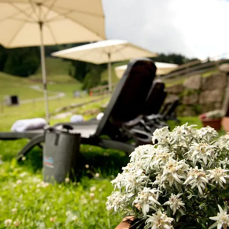 Отель Almhotel Hochhaederich Riefensberg