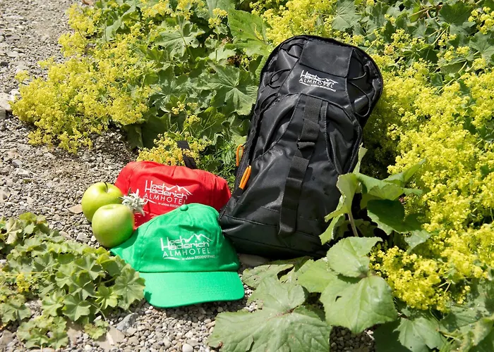 Hotel Almhotel Hochhäderich 4*