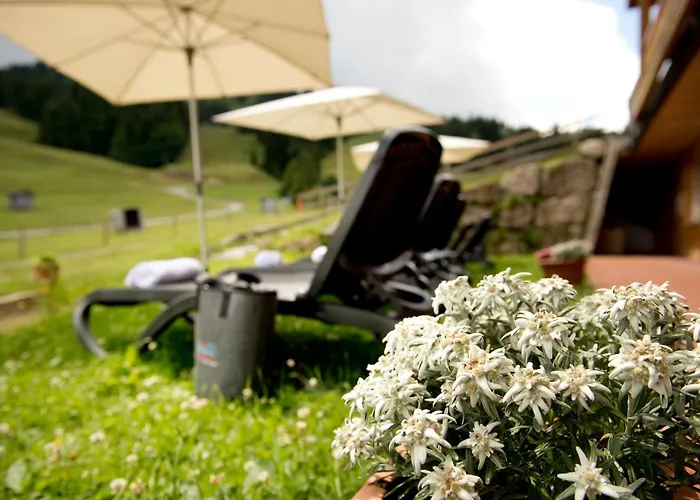 Hotel Almhotel Hochhäderich Riefensberg